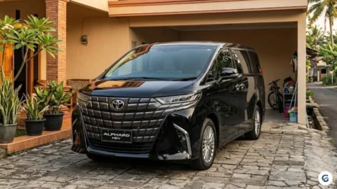 New Alphard XE